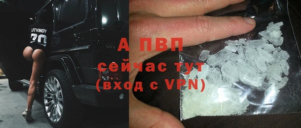 сатива Алексин