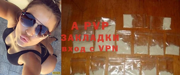 хмурый Пестово