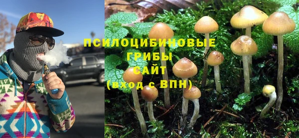 сатива Алексеевка