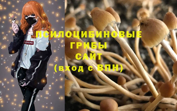 сатива Алексеевка