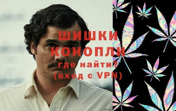 сатива Алексеевка