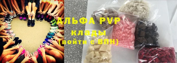 дмт Пересвет